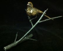 Bird 1