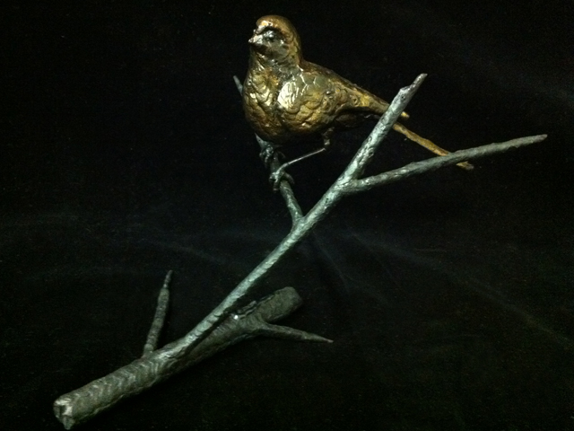 Bird 1