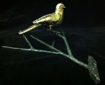 Bird 5