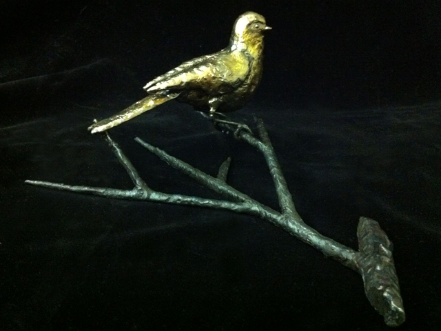 Bird 5