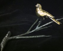 Bird 6