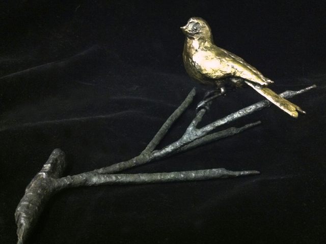 Bird 6