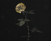 Flower 1