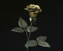Flower 2