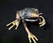 Frog 1
