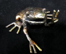 Frog 2