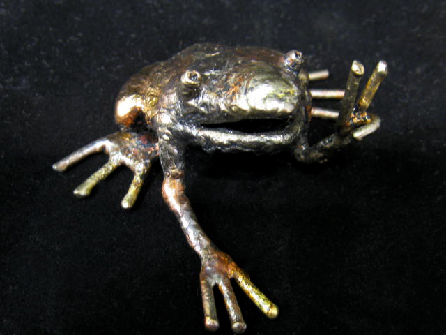 Frog 2