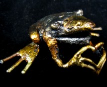 Frog 3