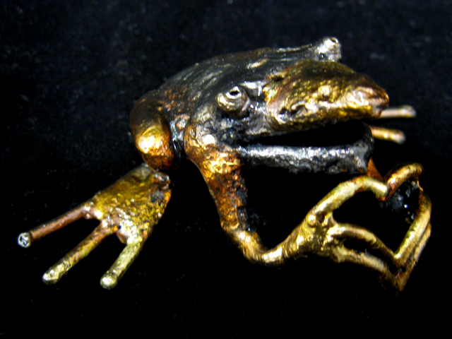 Frog 3