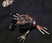 Frog 4