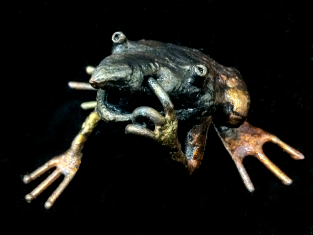 Frog 5