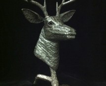 Stag